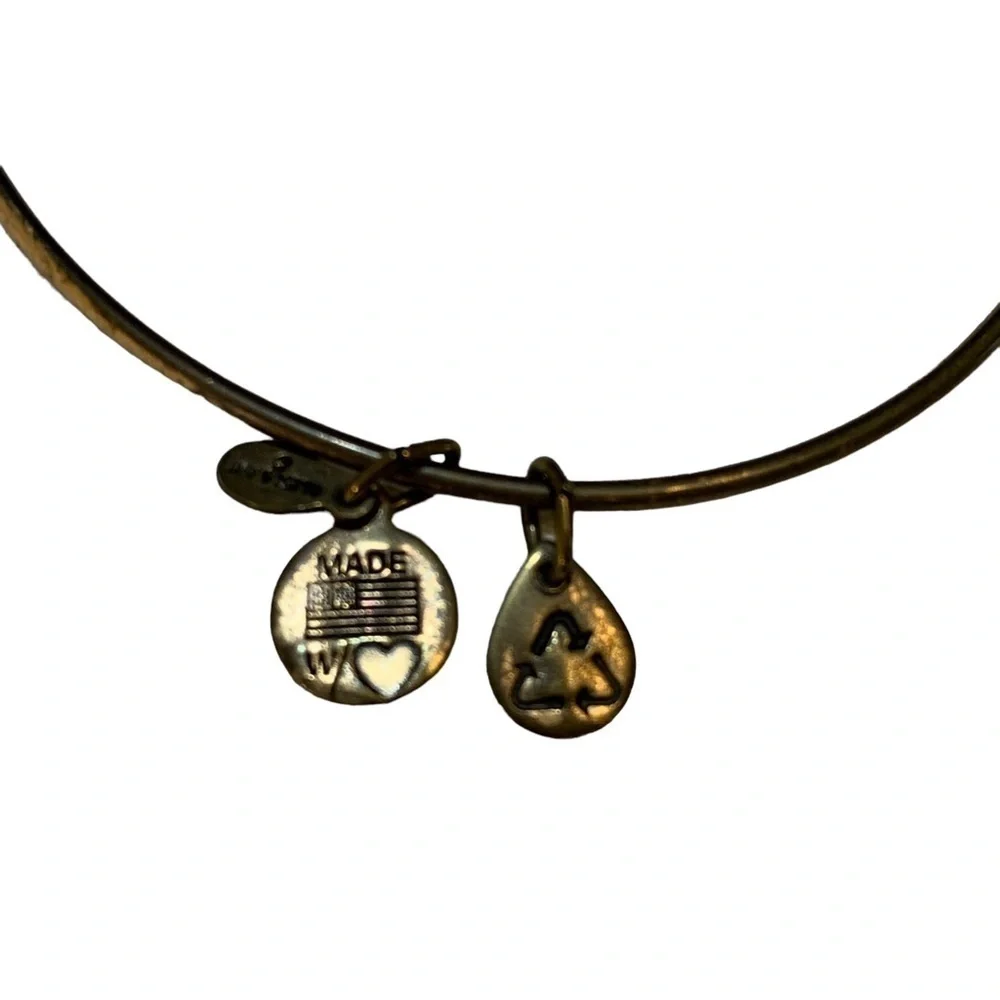 Alex & Ani Bangle Bracelet Set
